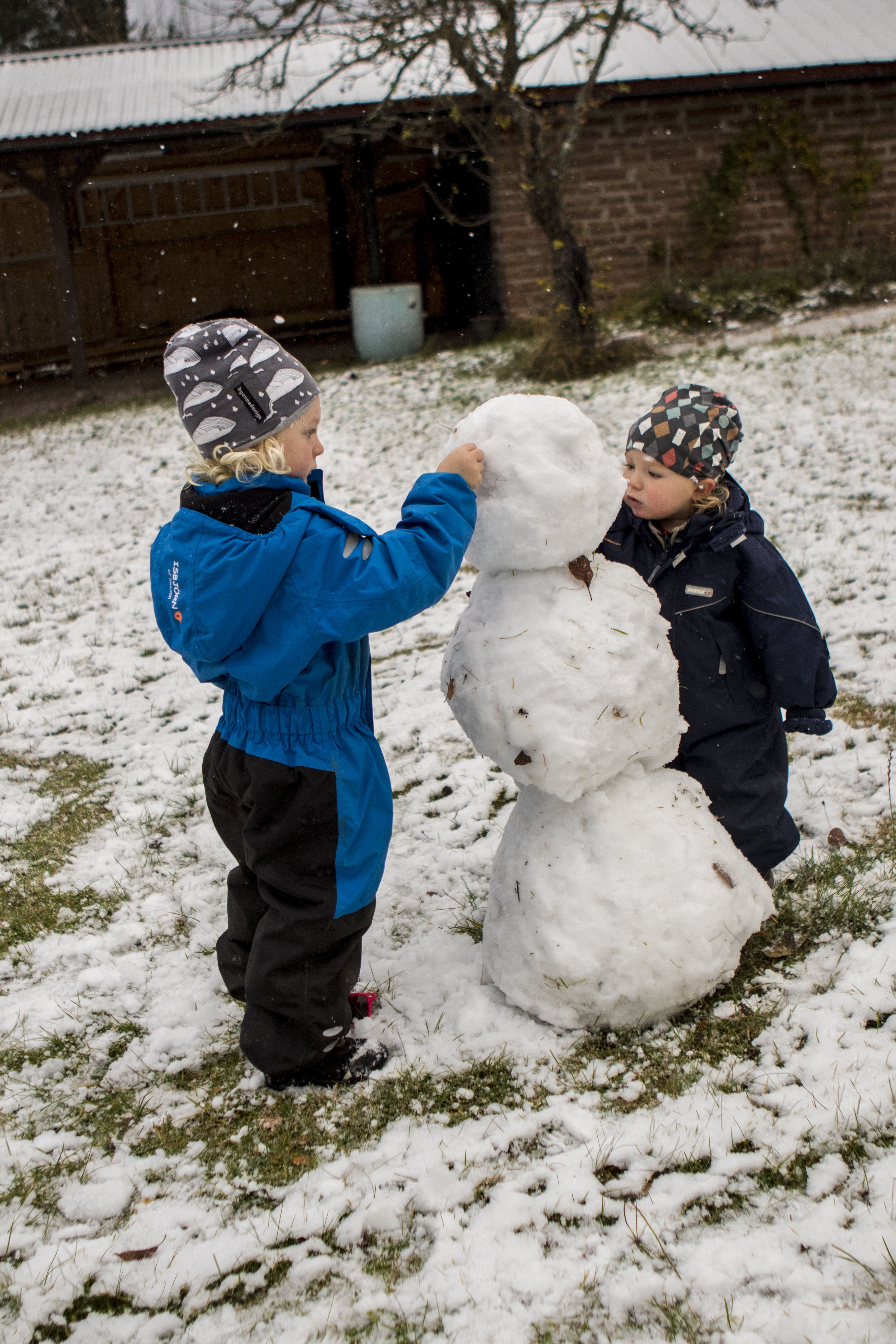sno