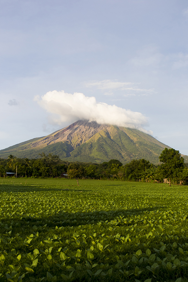 penitas2_188